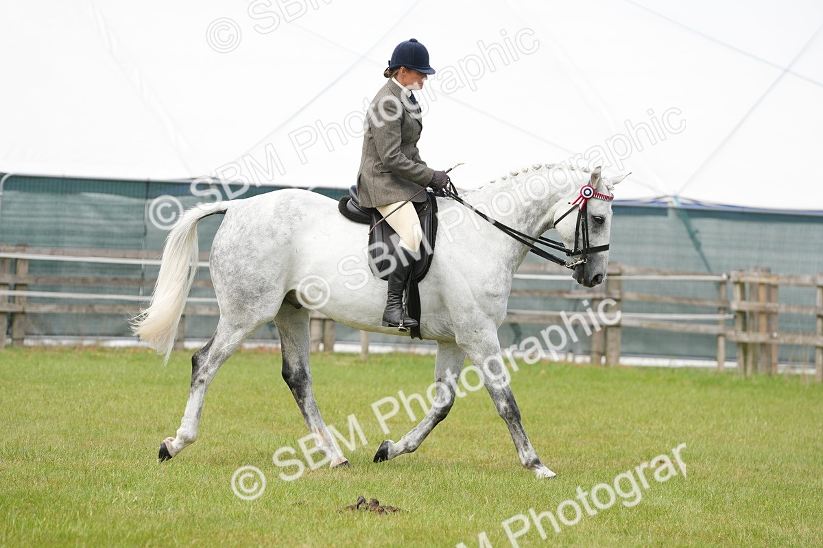 SBM_16199 - Class 105-106 - RIHS Riding Horses