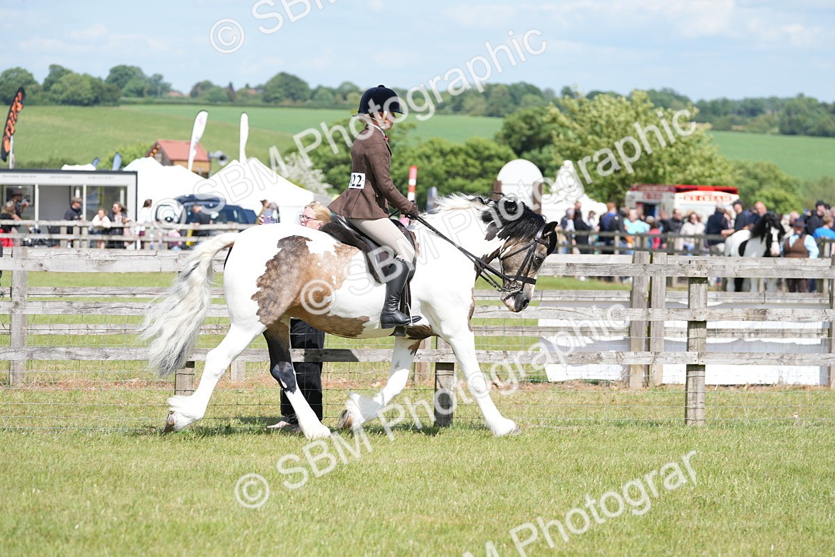 SBM_17113 - Class 107-108 - LIHS BSPS Performance Coloured Horse Pony