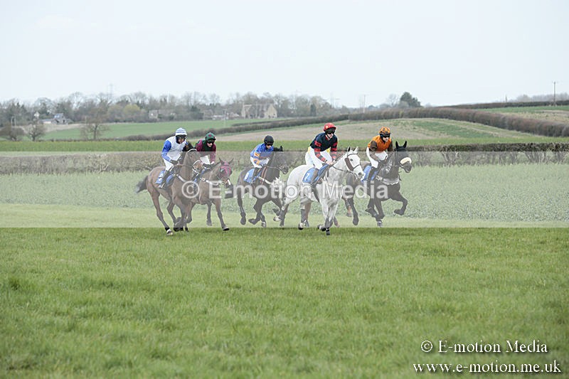 PtP 230319 77 - VWH Hunt Siddington Point-to-Point Racing 23/03/19