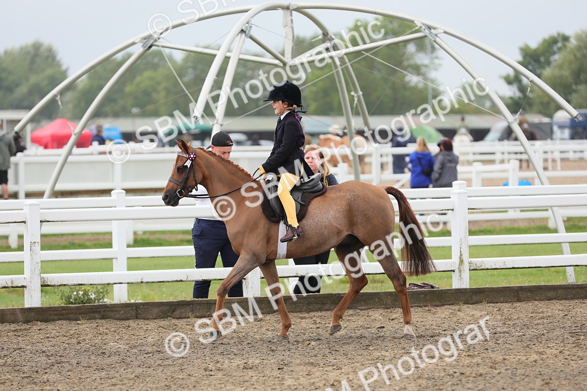 SBM_21797 - Class 806 - Young ridder 10 Yr & Under