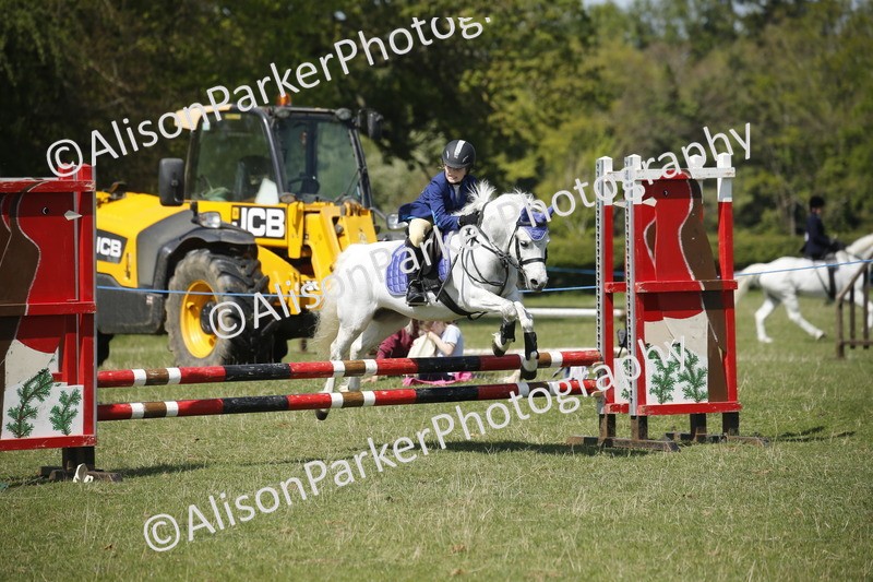 20250427-2325 - Class 13 - Novice Jumping 60cm