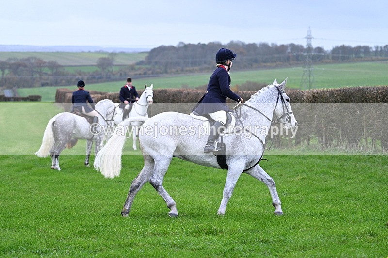 WJ7_8774 - Meet Staff & Hounds