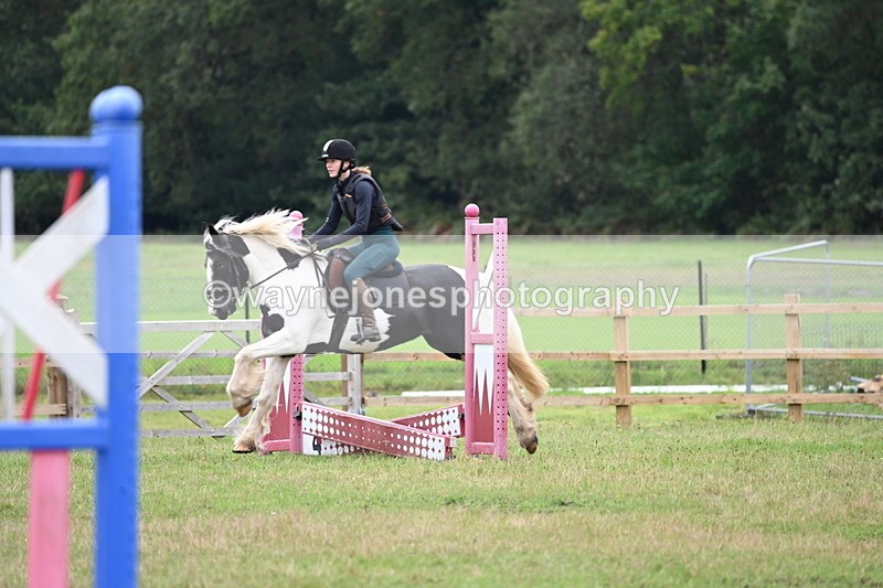 WJ6_0448 - 40cm Time 10:29 to 10:52