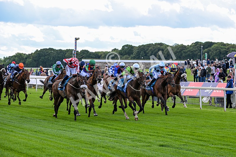 120626-Race 1-Our Havana-6604 - Race 1 13.50pm Andy Thornton Hospitality Furniture Apprentice Handicap