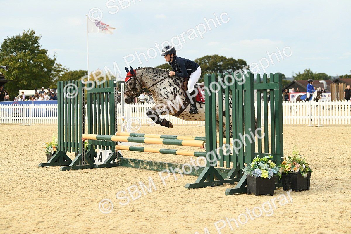 SBM_71086 - J15 - Junior Pony 70cm Championship
