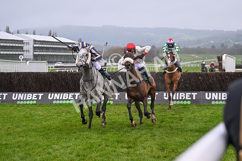 131224-Race 4-King Turgeon-9154 - Race 4