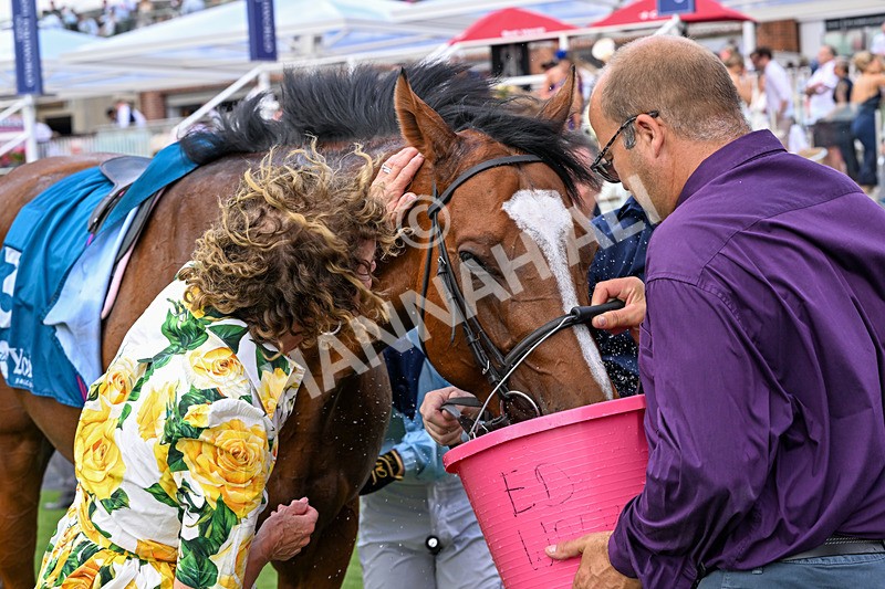 270626-Race 6-Hallo Spaceboy-5953 - Race 6 16.15pm Al Basti Equiworld Dubai Sprint Handicap