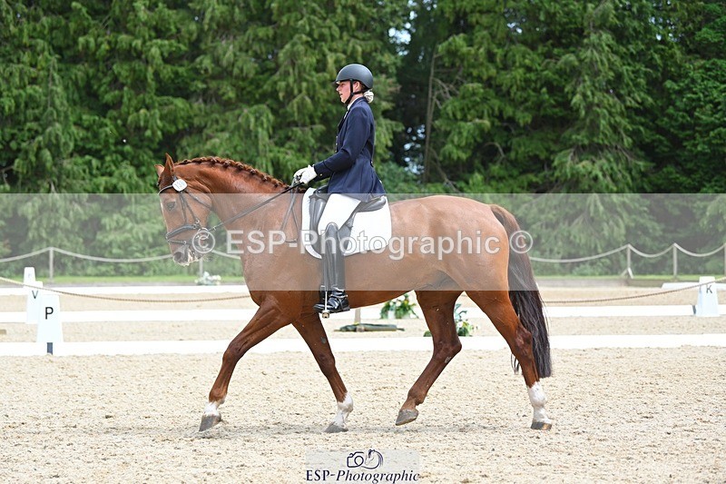 230813-140124-07662 - Cls 13 Medium Bronze 13.15 to End