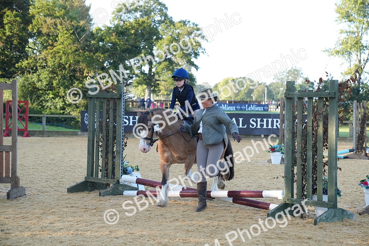 SBM_58929 - J63 - Minis Clear Round 30cm 40cm