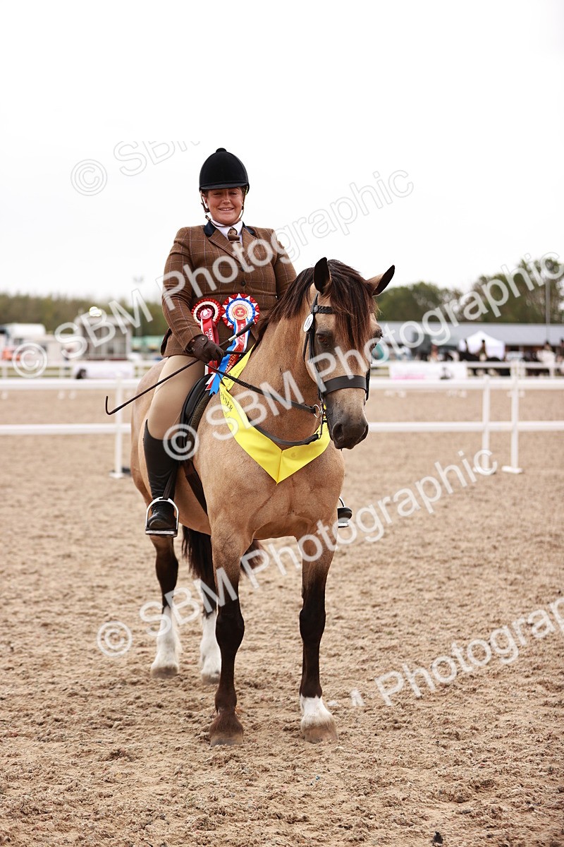 SBM_19082 - Class 422 - Ridden M&M