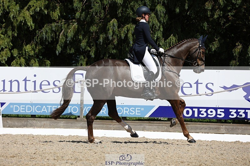 230526-145656-06591 - 376-DIRECT_BALLYTARSNA_DUCAREL-Jodie_Amos-WEDTrotUp+DR