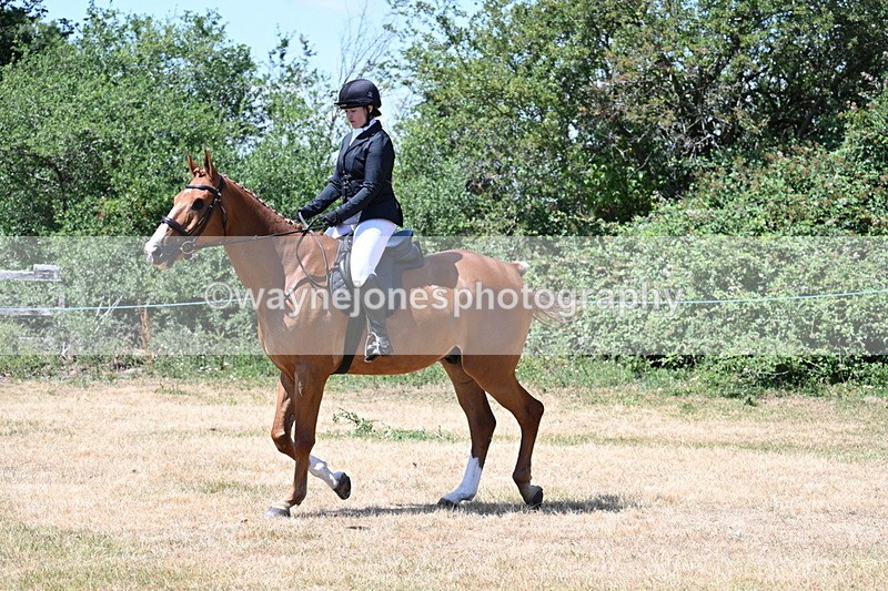 WJ7_2740 - Class 7 Riding Club Show Horse