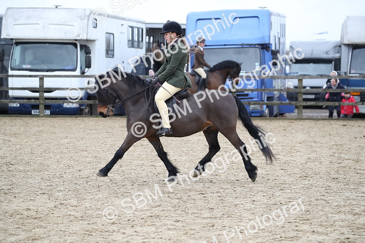 SBM_006378 - Class 10-13 - RIHS Small Large Breeds