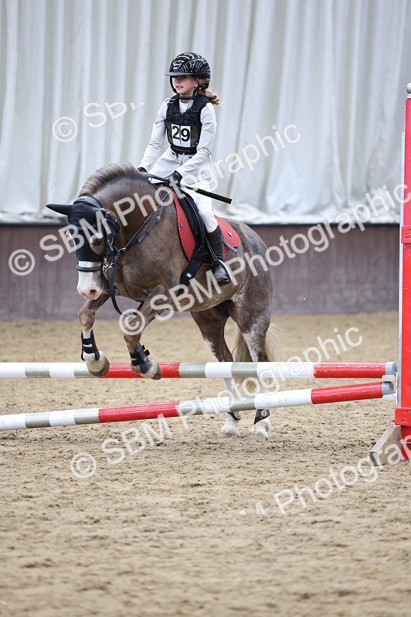 SBM_007341 - Class 2 - 50cm showjumping