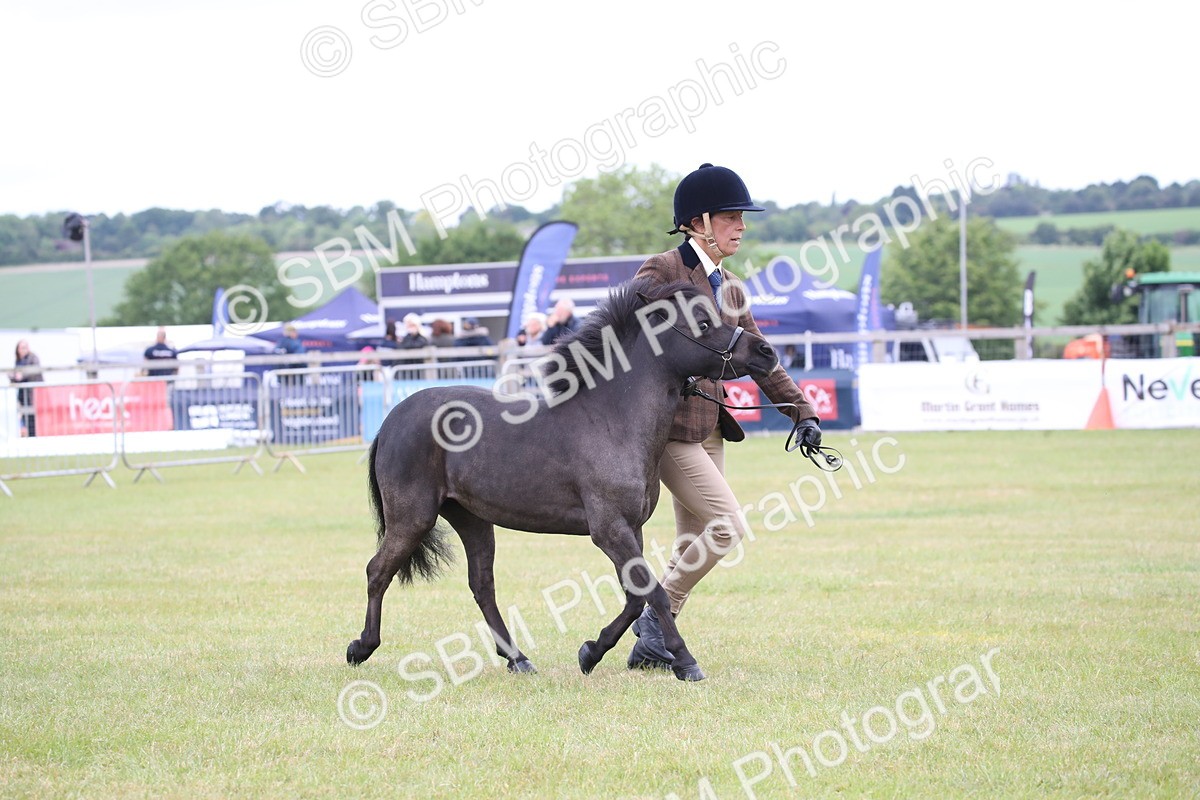 SBM_03947 - Class 23-25 - British Miniature Horse of the Year