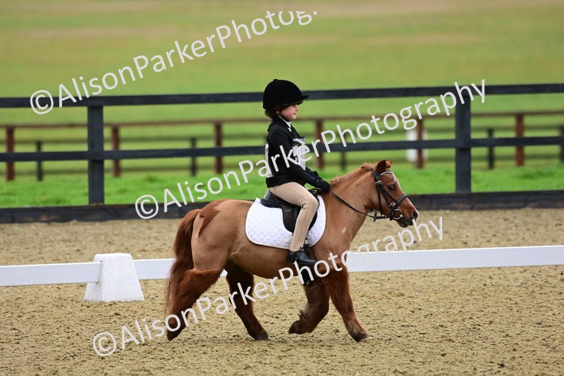 20260125-0561 - Class 9b - Walk Trot Unassisted