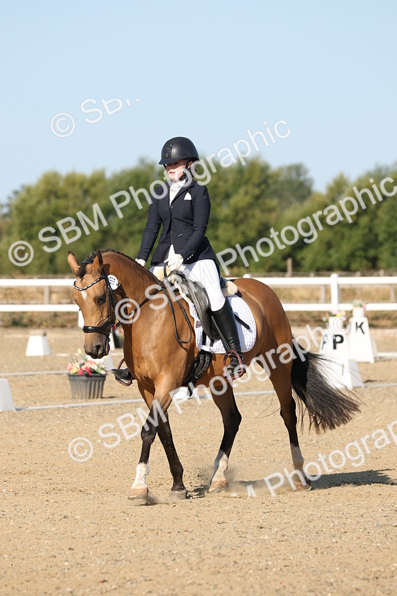 SBM_012600 - Class 1 - P5 Bronze 9.00.10.12