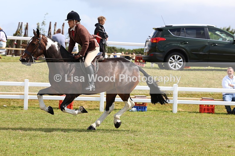 3E7A9800 - Class 5: Rising Star Lightweight/Heavyweight Cobs