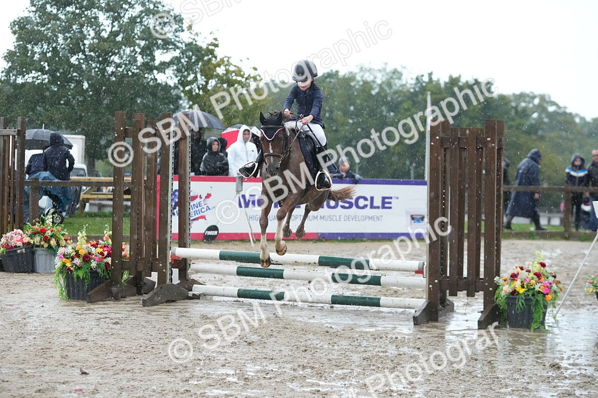 SBM_36230 - J5 - Junior Pony 50cm Championship