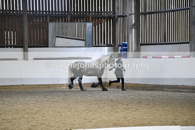 WJ5_5195 - Class 8 In hand cob