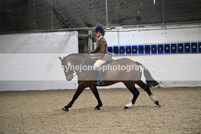 WJ7_4020 - Class 17 Ridden Cob