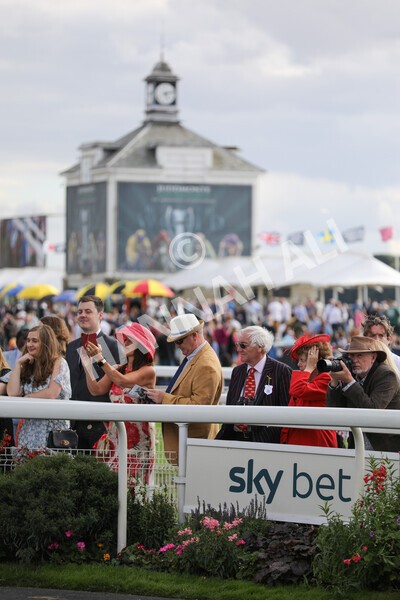 yr19082022r7-3 - Race 7 5.20pm Sky Bet Mile Stakes