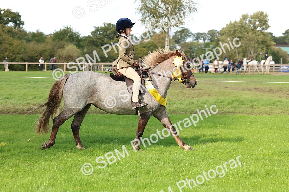 SBM_46355 - Working Hunter Pony Supreme Championship