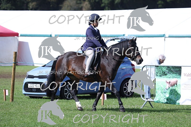 APP_3480 - Class 12 M&M ridden