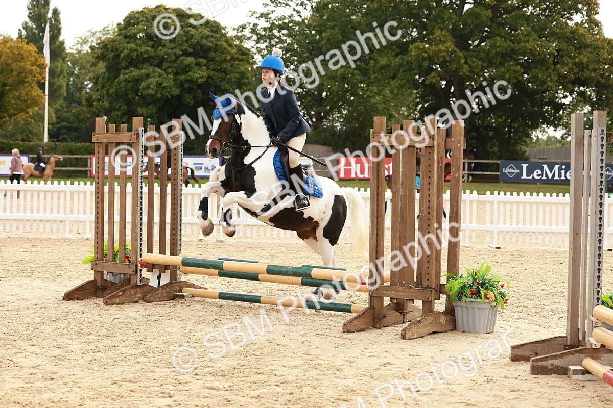 SBM_57687 - J11 - Junior Pony 50cm Championship