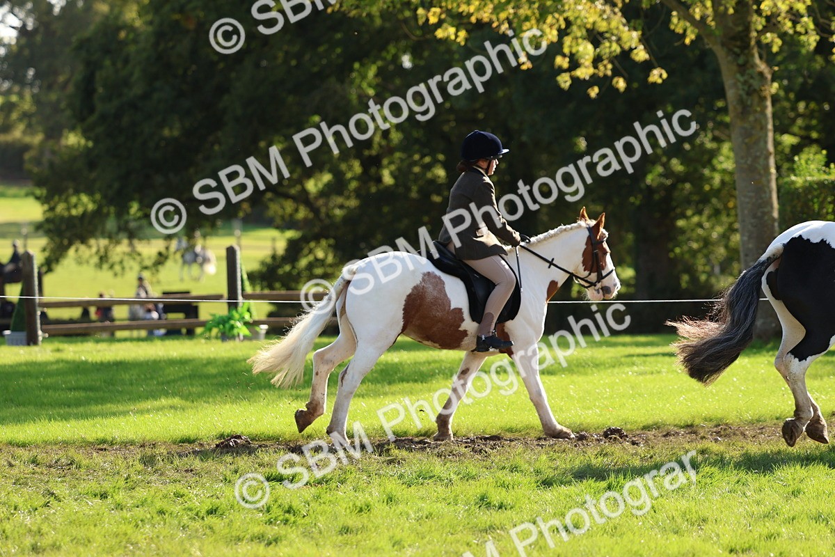 SBM_52406 - S13 - Pony Club Pony