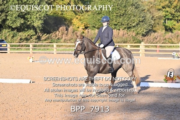 BPP_7913 - LONG ARENA