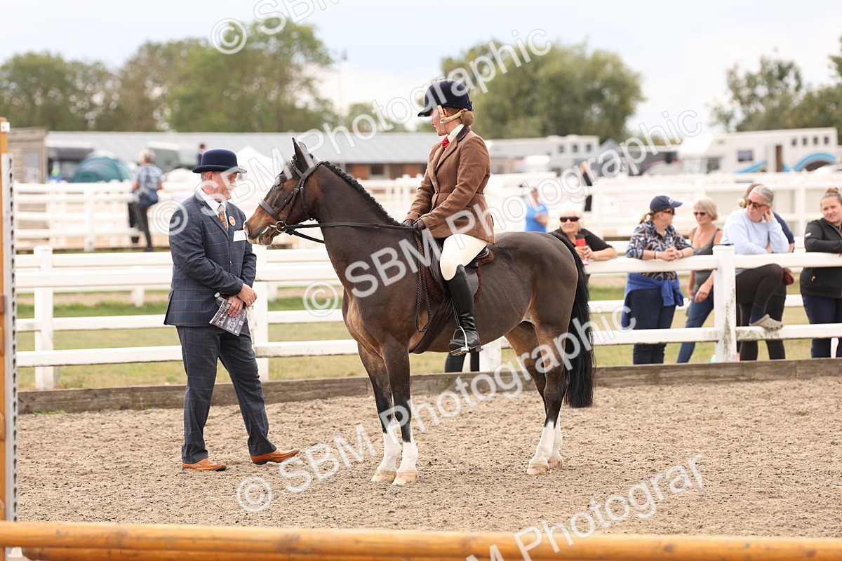 SBM_06190 - Class 57b -  Style & Performance - 60cm (20+)