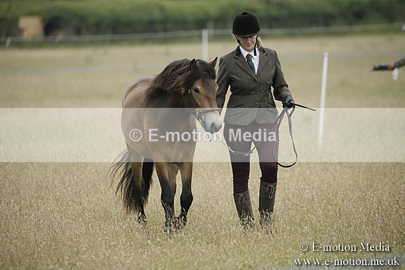 B230619-0115 - Bourne Valley Riding Club Summer Show 23/06/19