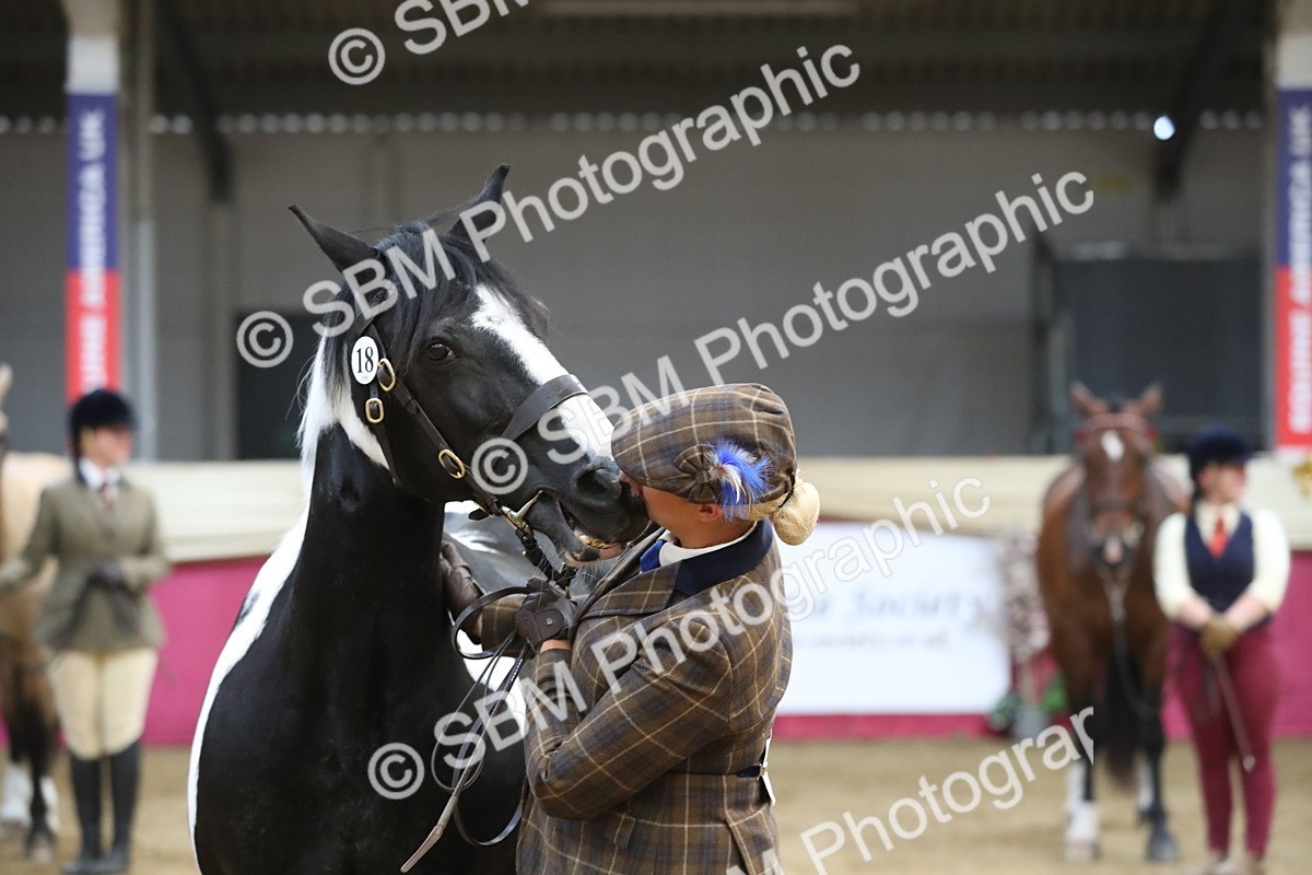 SBM_06450 - Class 9R Regional- IH Pre Vet