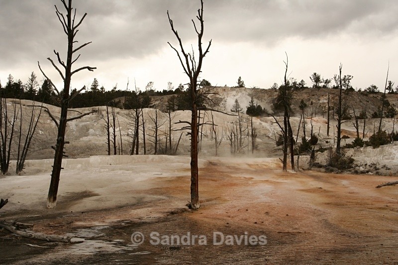  - Yellowstone