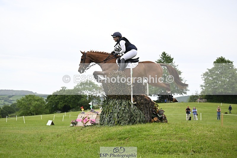 240525-161056-16992 - 251-MILESTONE_GOLD-Gaby_Bull