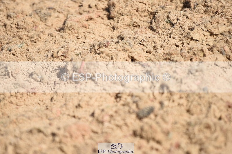 230906A-125410-00366 - Newcomers & 1.10m Open