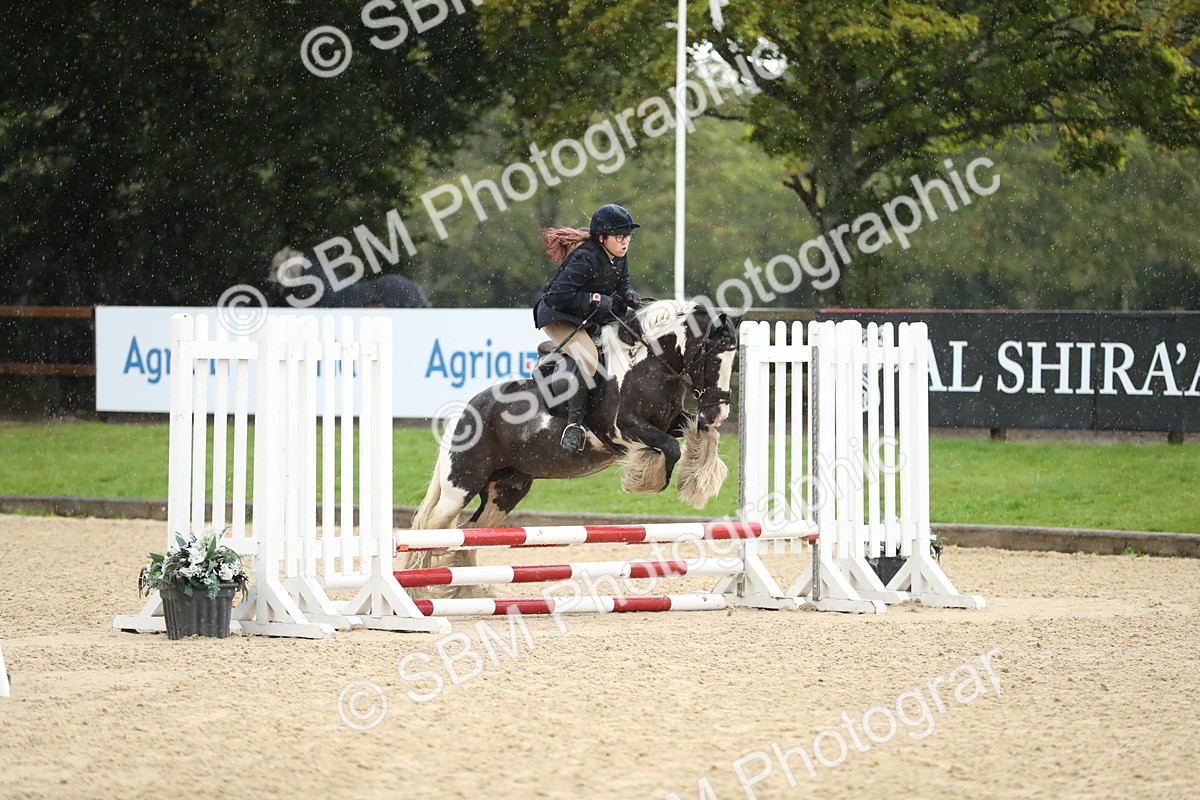 SBM_34465 - J60 Clear Round 50cm