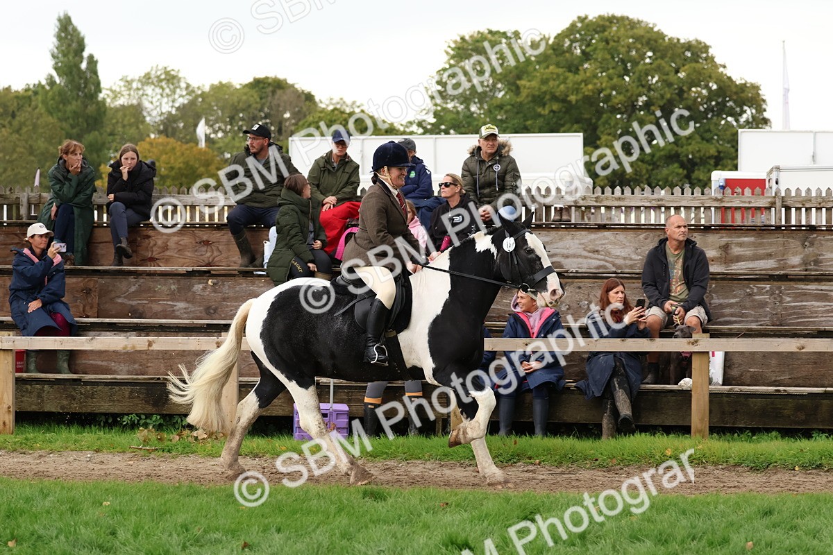 SBM_44995 - S27 - Young Veteran Ridden