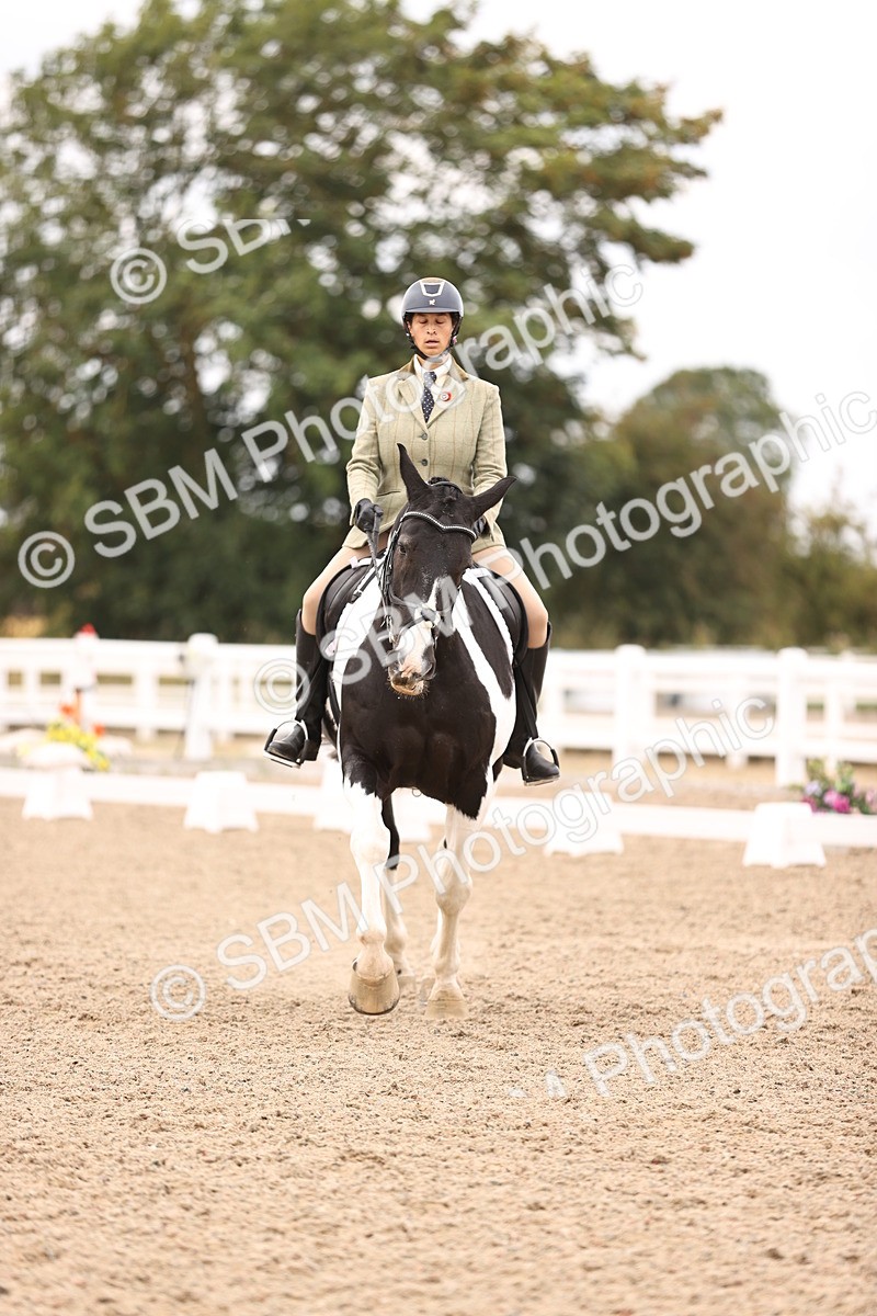 SBM_05902 - Class 37 Novice 5