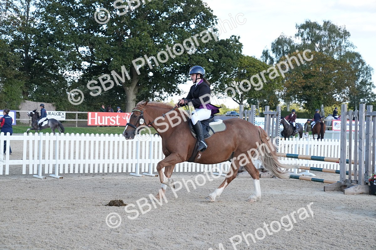 SBM_28077 - J43 - Super Speedy Scurry Open - 60cm