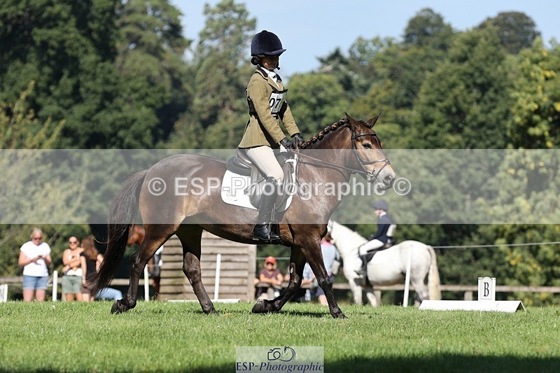 250823A-103012-27716 - Arena D