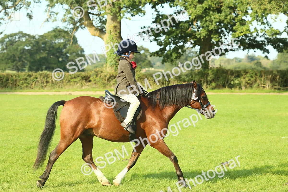 SBM_59818 - S38 - Starters Ridden Showing