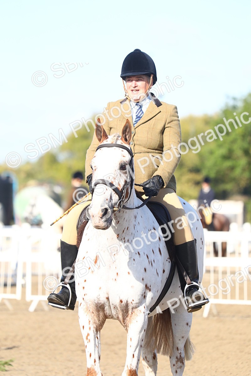 SBM_08589 - Class 502 - Riding Club Horse