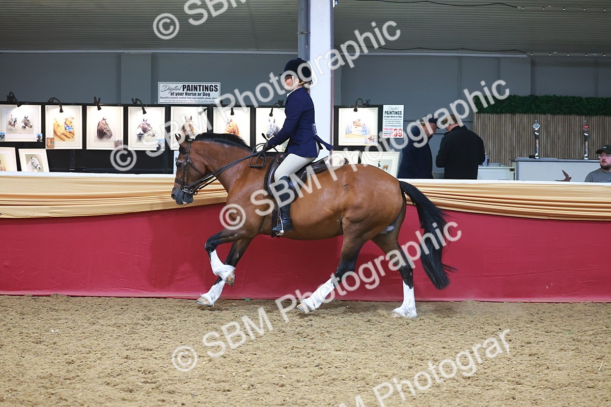 SBM_17824 - Class 952 - M&M Ridden Supreme Final