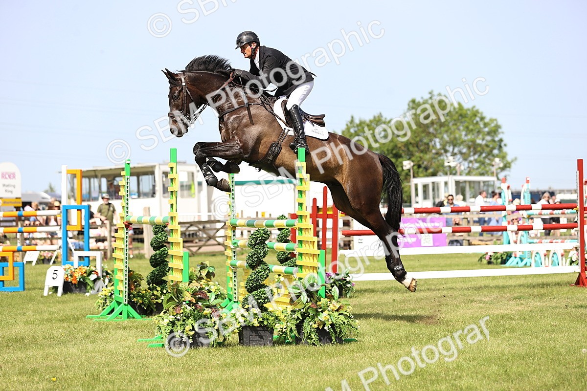 SBM_02990 - Class 201 - British Horse Feedds Speedi Beet HOYS Grade C