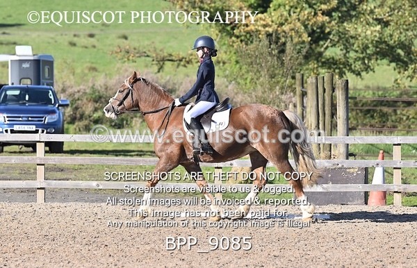 BPP_9085 - SHORT ARENA