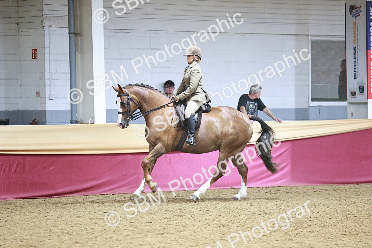 SBM_08963 - Class 12R - Regional Ridden Pre-Vet
