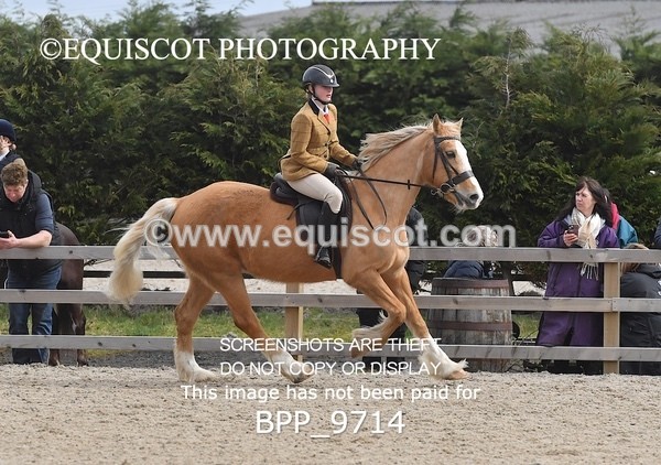 BPP_9714 - RING 2 - M&M