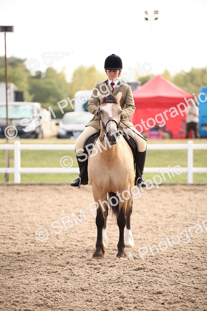 SBM_08812 - Class 12R Regional Ridden Pre-Vet